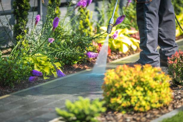 Best Gutter Cleaning  in Shinnecock Hills, NY