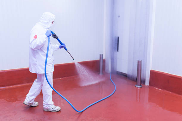 Best Warehouse Cleaning  in Shinnecock Hills, NY